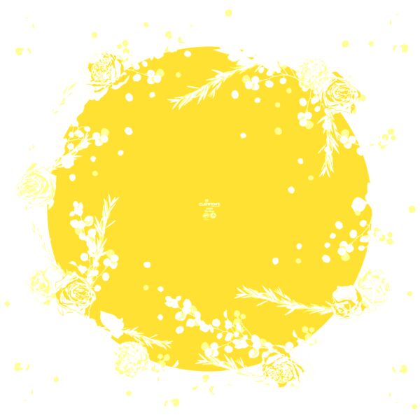 Polypro printed sheets Célestine for water reserve 70x70 cm jaune 40