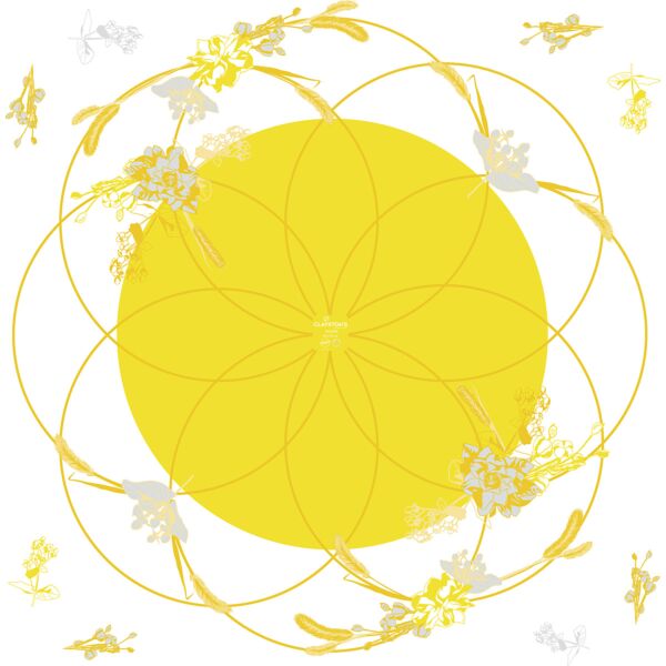 Polypro printed sheets Honesty for water reserve 60x60 cm jaune 40