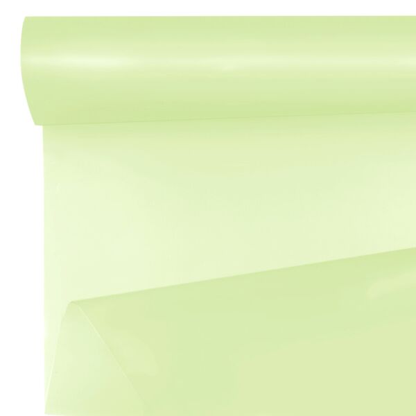 Rouleau d'opaline frosted unie pour bouquets