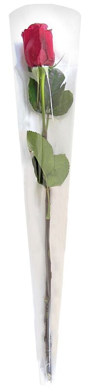 Étui fleur à l'unité ena polypro pratique pour la st valentin 50x80 cm neutre