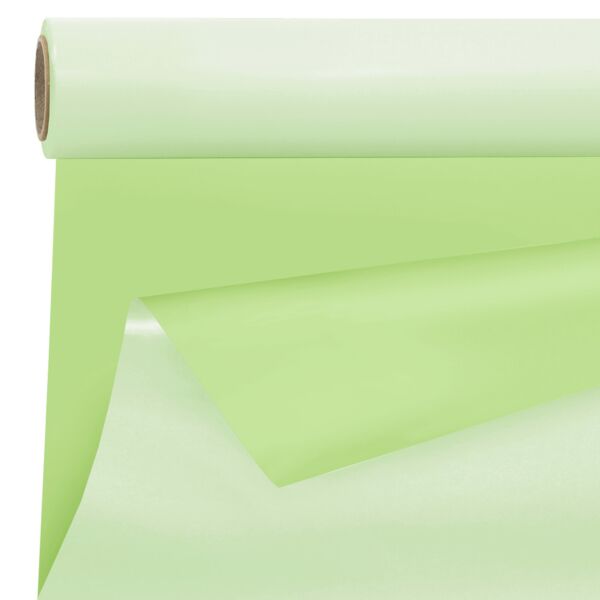 Mat polypro roll Duo 0.99x25 m vert 40