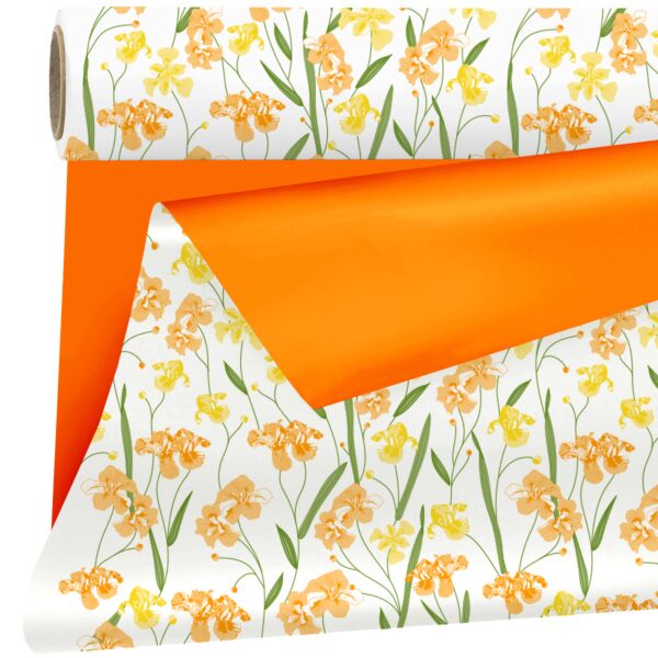 Rouleau en polypropylène mat Aube 0.79x25 m orange 40
