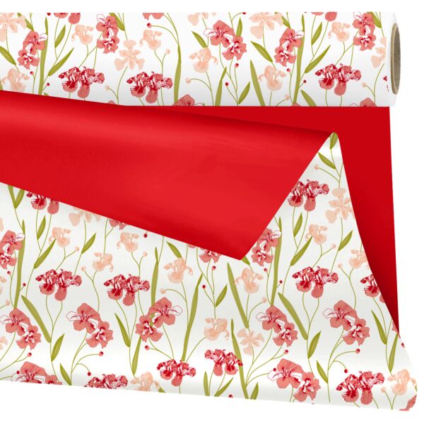 Rouleau en polypropylène mat Aube 0.79x25 m rouge 40