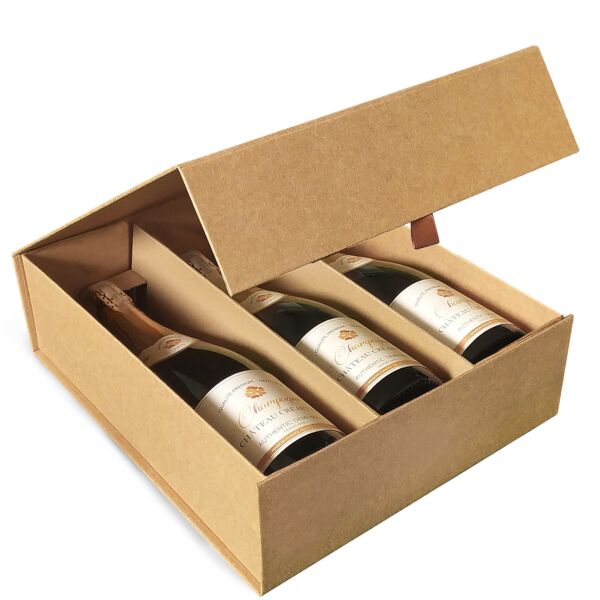 Bottle Bags Allure Vin 270 x 320 x 85 mm naturel Coffret