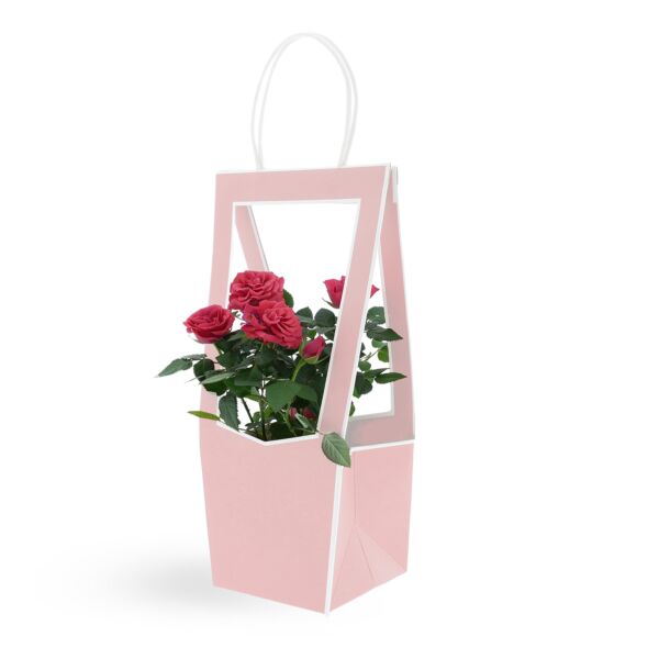 Sac en carton avec ouverture transparente Médaillon 118 x 120 x 350 mm rose
