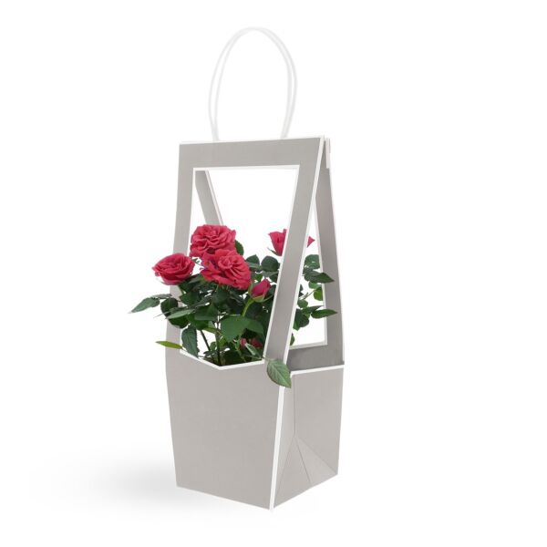 Sac en carton avec ouverture transparente Médaillon 118 x 120 x 350 mm gris