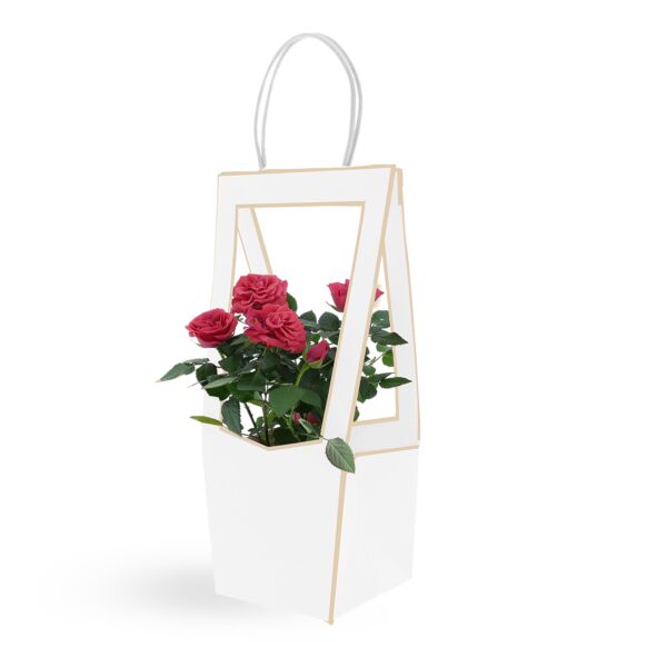See-through cardboard bag Médaillon 118 x 120 x 350 mm blanc