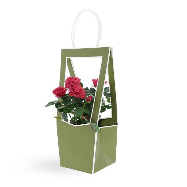 See-through cardboard bag Médaillon 118 x 120 x 350 mm vert