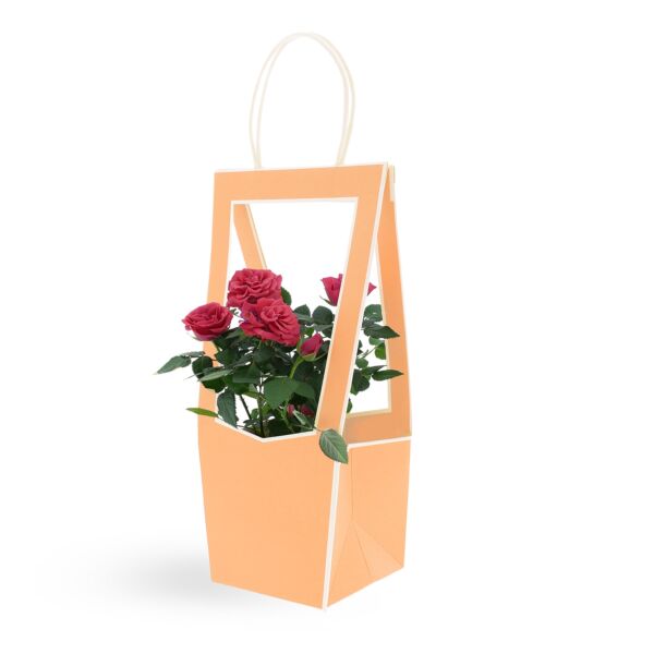 Sac en carton avec ouverture transparente Médaillon 118 x 120 x 350 mm orange