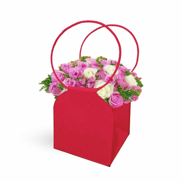 Sac Trianon 150 x 150 x 165 mm rouge
