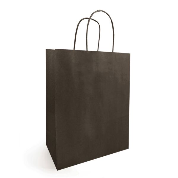 Sac kraft à poignées torsadées pour le transport 230 + 120 x 300 mm marron Blanc