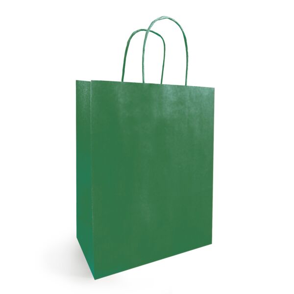 Sac kraft à poignées torsadées pour le transport 340 + 140 x 395 mm vert Blanc