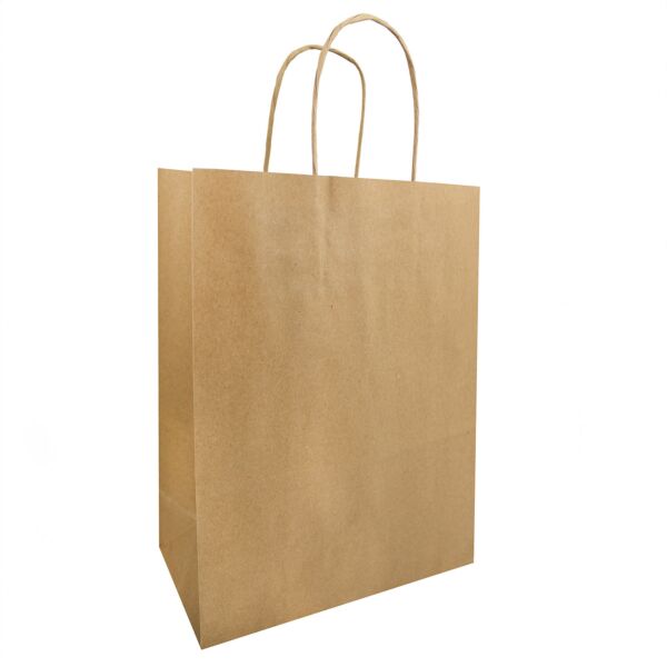 Sac kraft avec poignées torsadées
