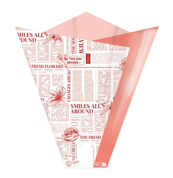 Polypro 4 points sleeve - Daily 50x44x12 cm rouge