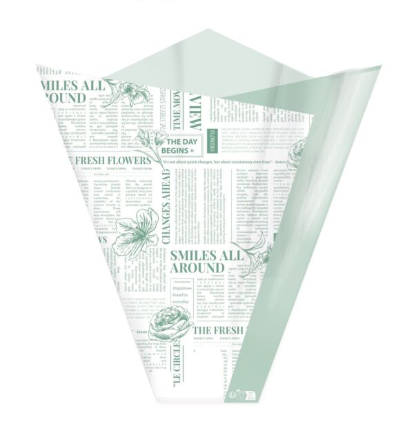  Polypro 4 points sleeve - Daily 50x44x12 cm vert