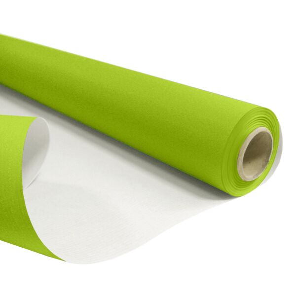 Rouleau de Papier Kraft Blanchi couleur Uni 200m 0.49x200 m vert 60
