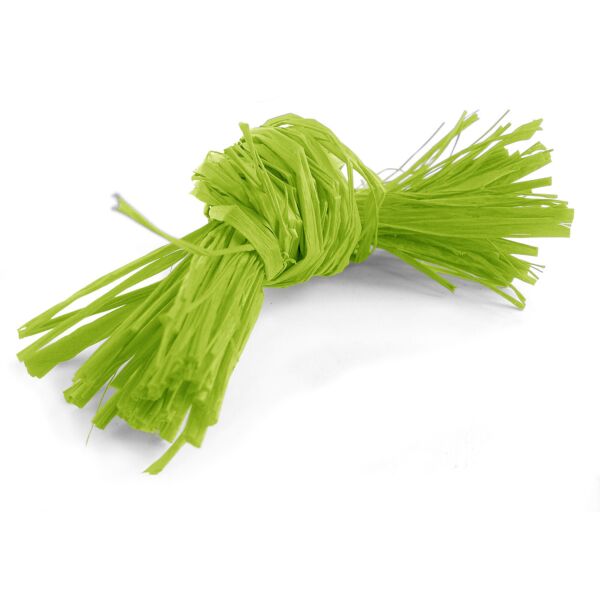 Raphia naturel en floche pour emballage floral et festif Medium vert