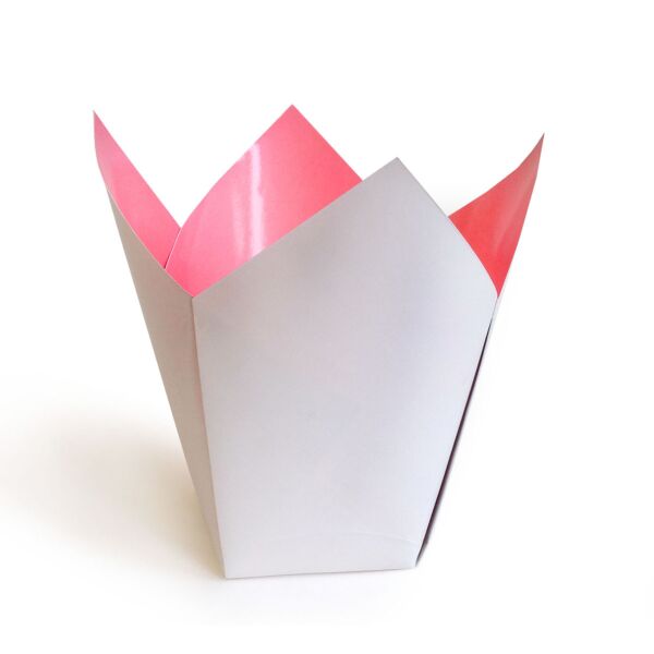 Cardboard pot-cover Stampo for orchid 75 x 110 x 170 mm rose
