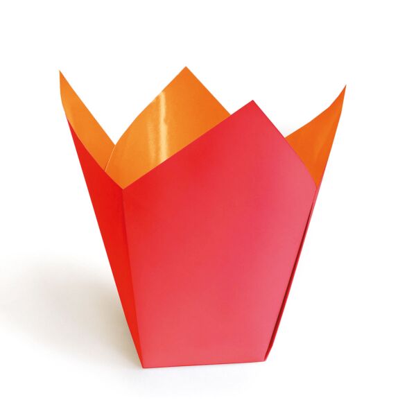 Cardboard pot-cover Stampo for orchid 75 x 110 x 170 mm rouge