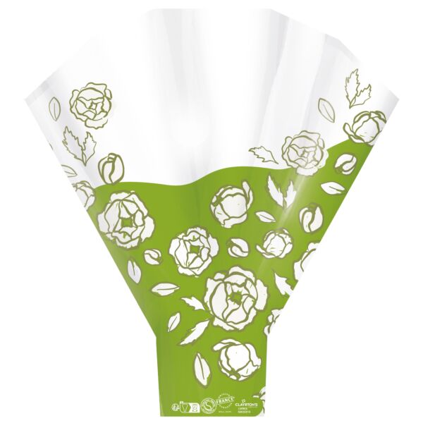 Caprice sleeves 50x56x14 cm vert