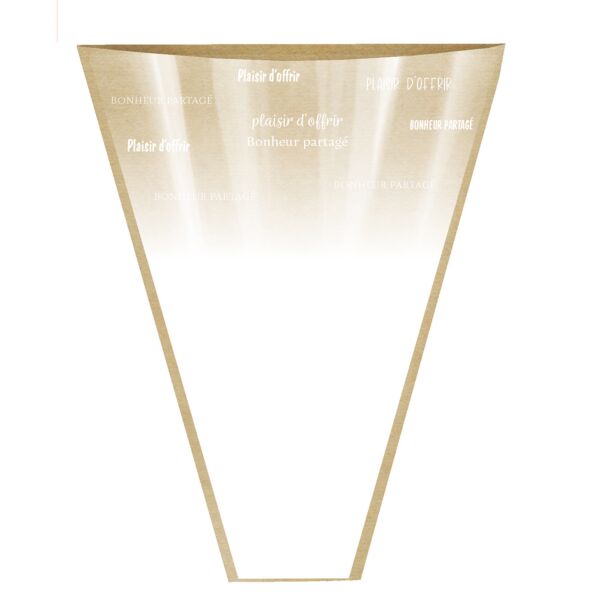 Kraft and polypro sleeve Ofrecer 50x35x10 cm blanc