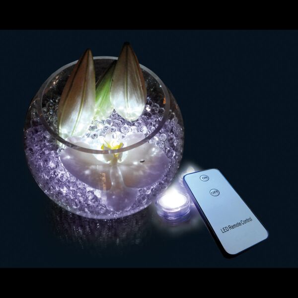 Lampe led twist and light remote pour plante avec télécommande 2.5 x 3 cm  blanc