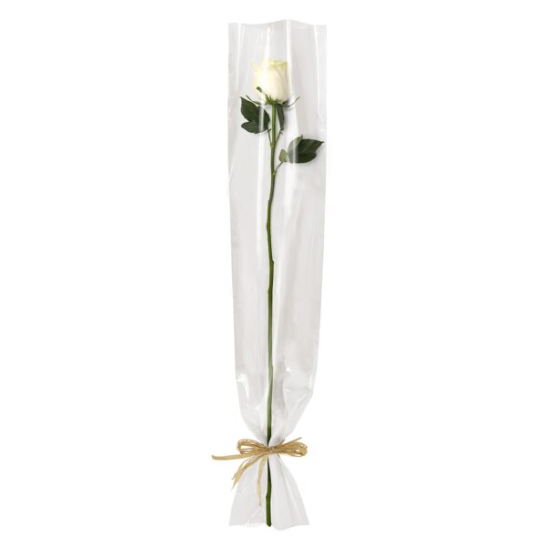 Étui fleur à l'unité en polypro pratique pour la st valentin