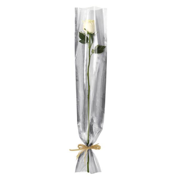 Time-saving polypro single stem case 16x80 cm neutre