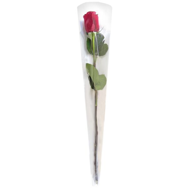 Cône fleur à l'unité en polypropylène pour la st-Valentin 55x13.5x3 cm neutre
