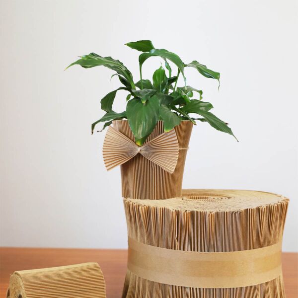 Manchette kraft - cache pot extensible résistant à l'eau 145 mm naturel