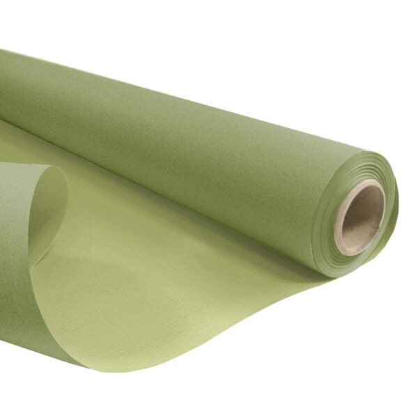 Rouleau kraft Duo petite taille 0.49x10 m vert 50