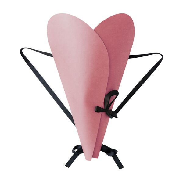 Sac Nomad b:300 B:365 H:570 mm rose