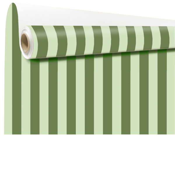 Rouleau kraft fantaisie Potter