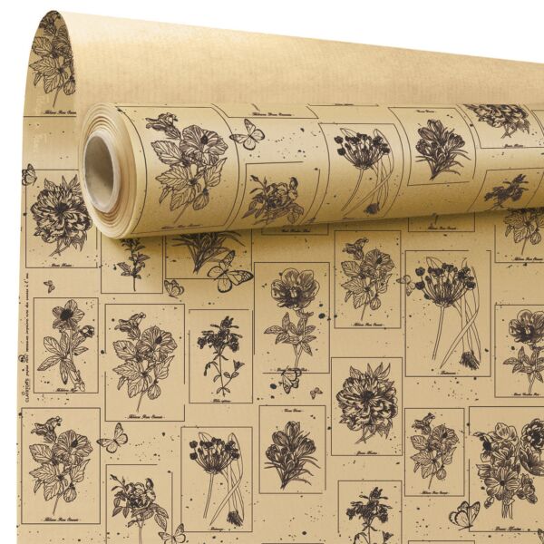 Rouleau kraft fantaisie Curiosity
