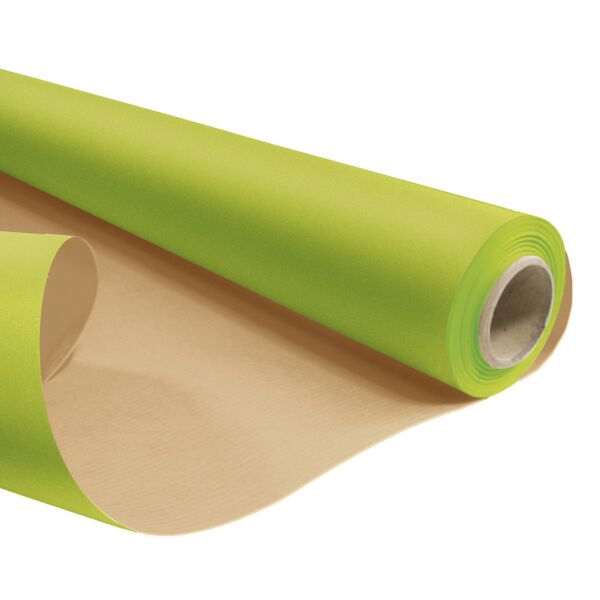 Rouleau kraft naturel résistant à l'eau 0.79x25 m vert 60