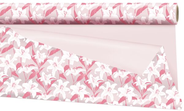 Lysandre rolls