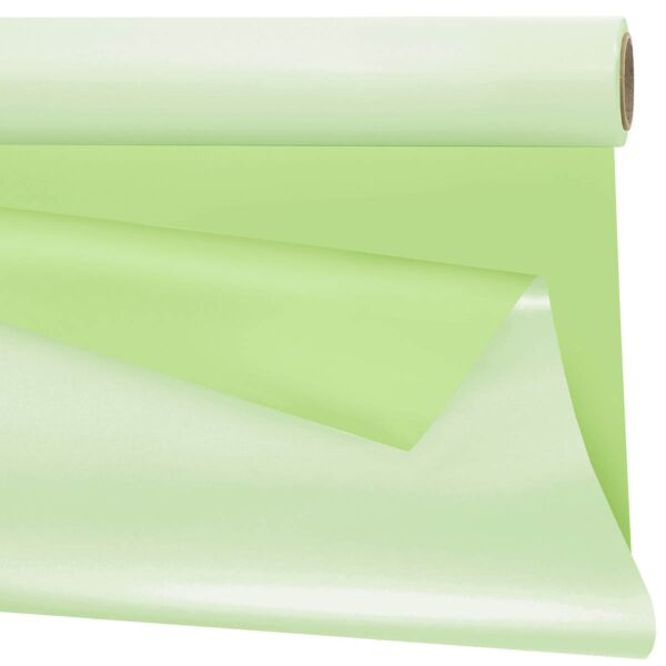 Mat polypro roll Duo 0.79x40 m vert 40