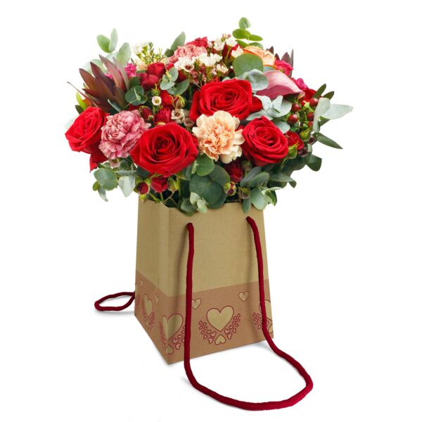 Cardboard bag Pyramide for transport 150 x 120 x 180 mm rouge