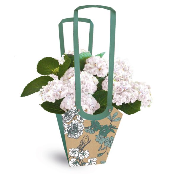 Sac en carton résistant à l'eau Aqua Birdy b:110 B:110 H:190 mm vert