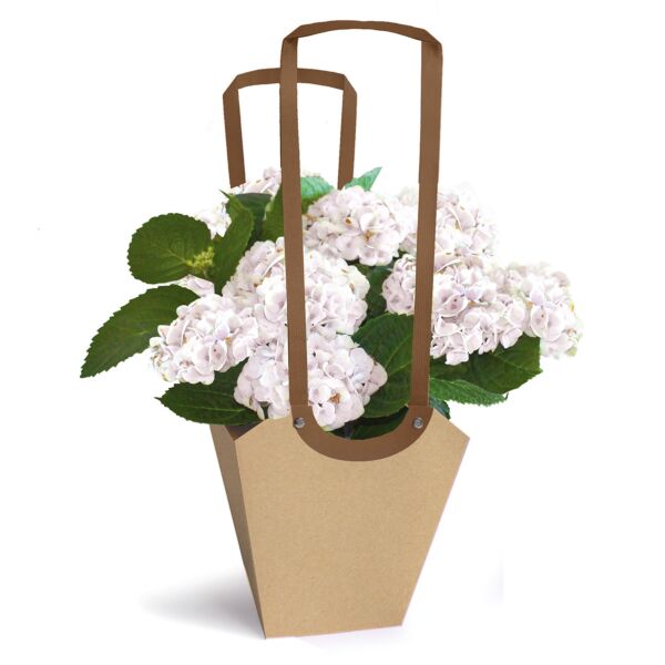 Bag Aqua Natural - S - (6,5x6,5x13cm) 1TK