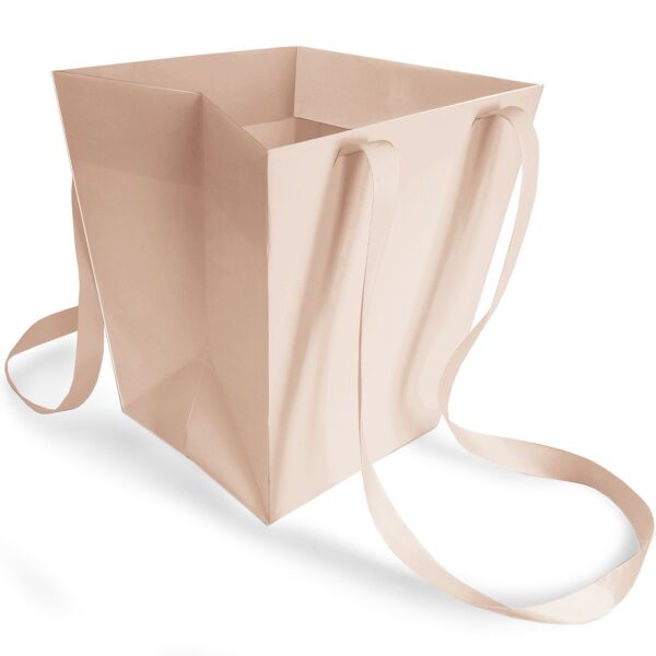 Sac en carton Elégant avec poignées ruban