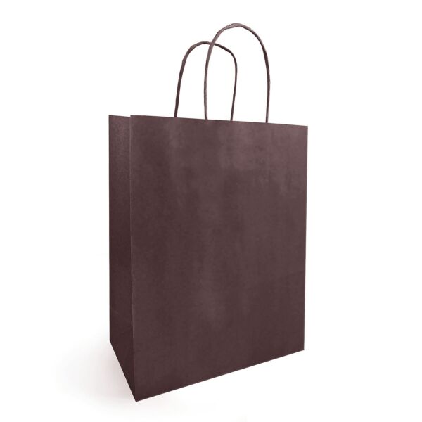 Kraft bag with twisted handles for transport 180 + 80 x 220 mm marron Blanc