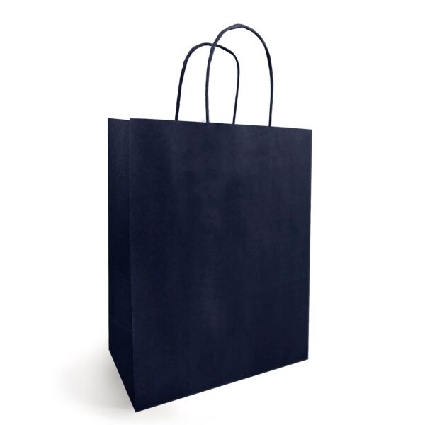 Sac kraft à poignées torsadées pour le transport 230 + 120 x 300 mm bleu Blanc