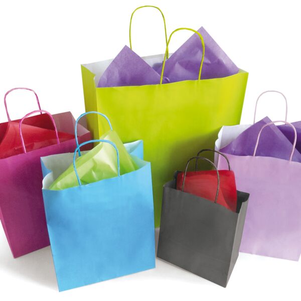 Kraft bag with twisted handles for transport