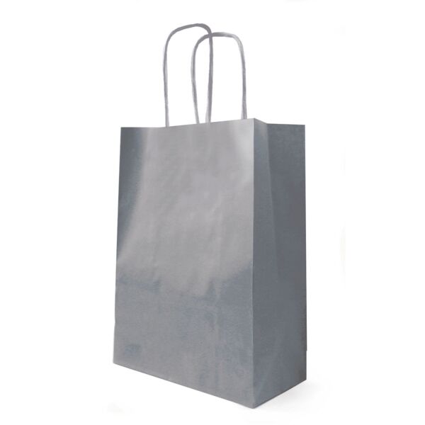 Sac kraft à poignées torsadées pour le transport 230 + 120 x 300 mm gris Blanc