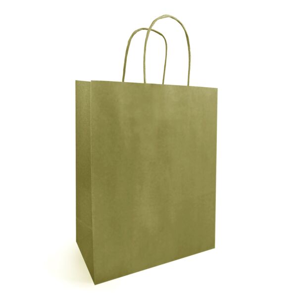 Sac kraft à poignées torsadées pour le transport 180 + 80 x 220 mm vert Blanc
