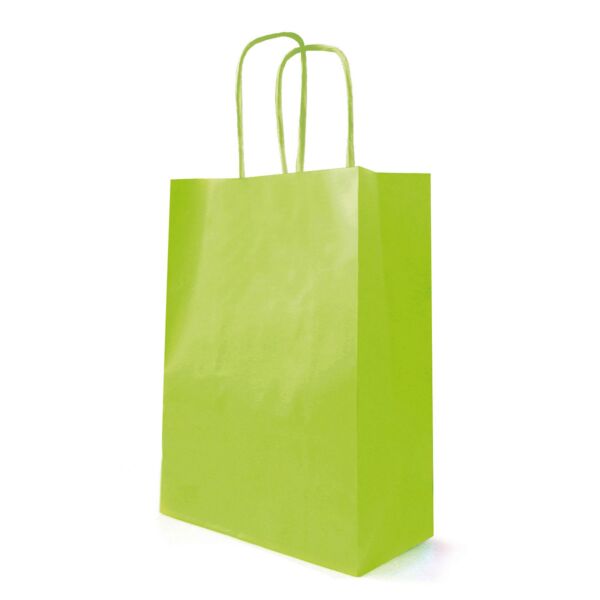 Sac kraft à poignées torsadées pour le transport 180 + 80 x 220 mm vert Blanc