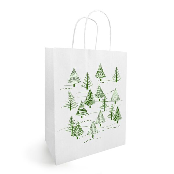 Sac Kraft Isidore avec poignées torsadées 360 + 130 x 425 mm vert