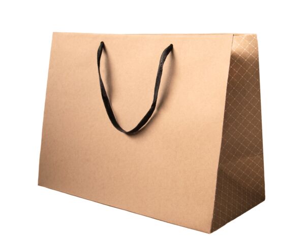 Cardboard bag Luxe with flat handles 390 + 180 x 290 mm naturel