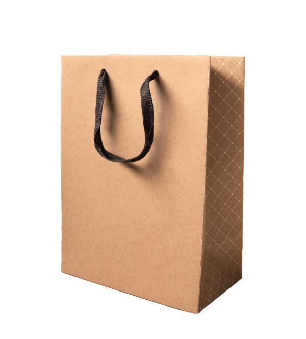 Cardboard bag Luxe with flat handles 250 + 130 x 330 mm naturel